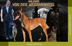 Homepage von der Hexenkanzel