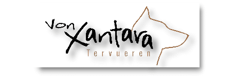 Homepage von Xantara