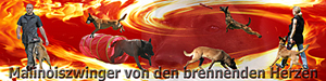 Homepage von den brennenden Herzen