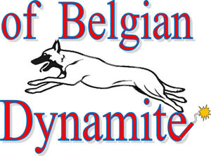 Homepage of Belgian Dynamite